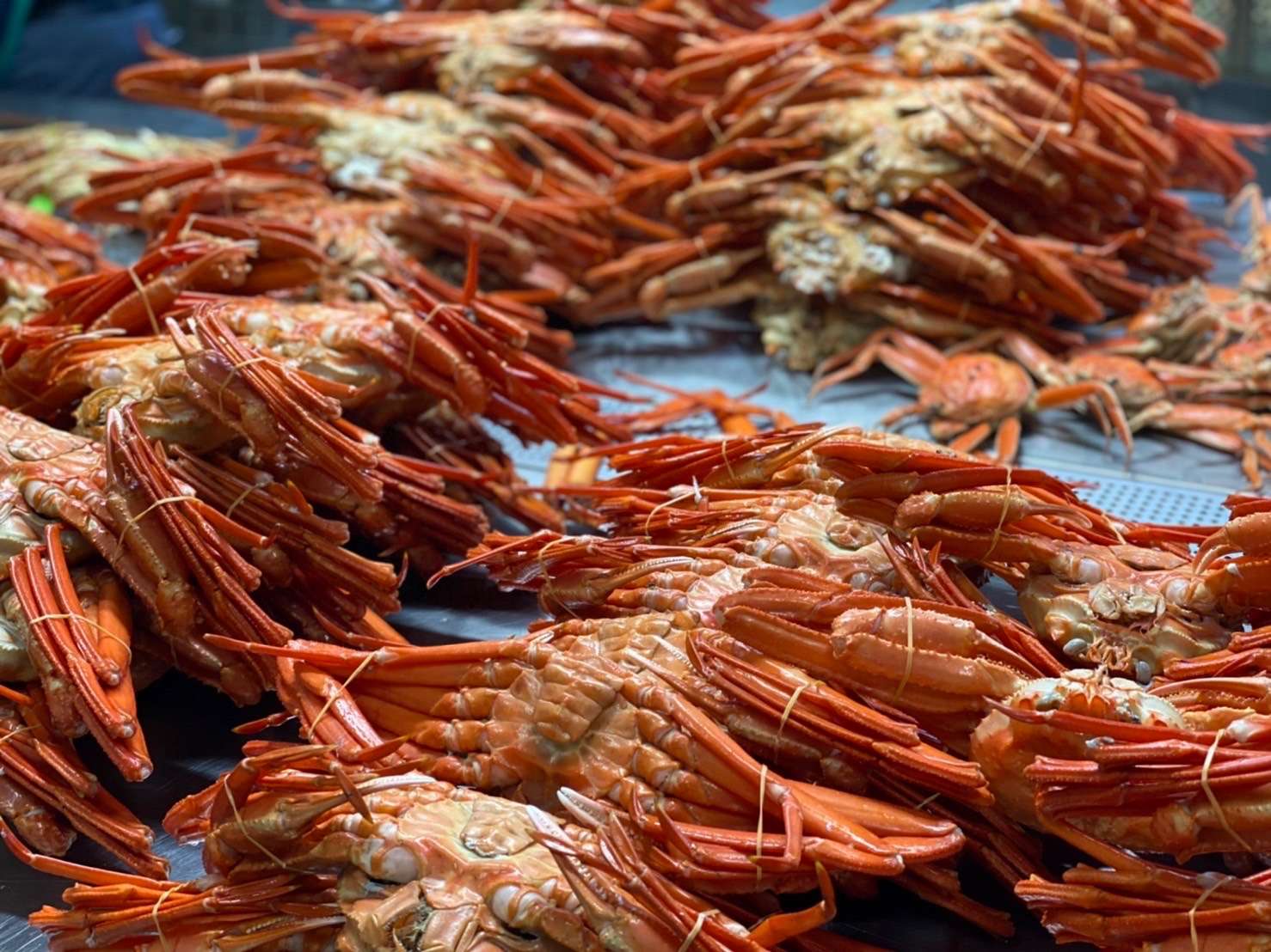 【取材企画】松井さんの想い【第1弾】