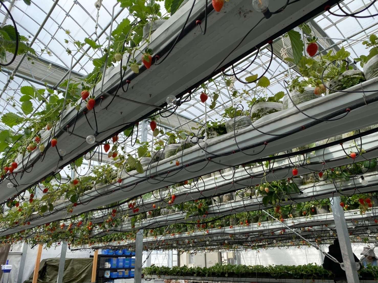 【取材企画】鳥内さんの想い【第2弾】